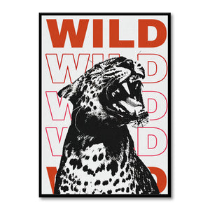 Wild Cat