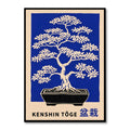 Kenshin Toge