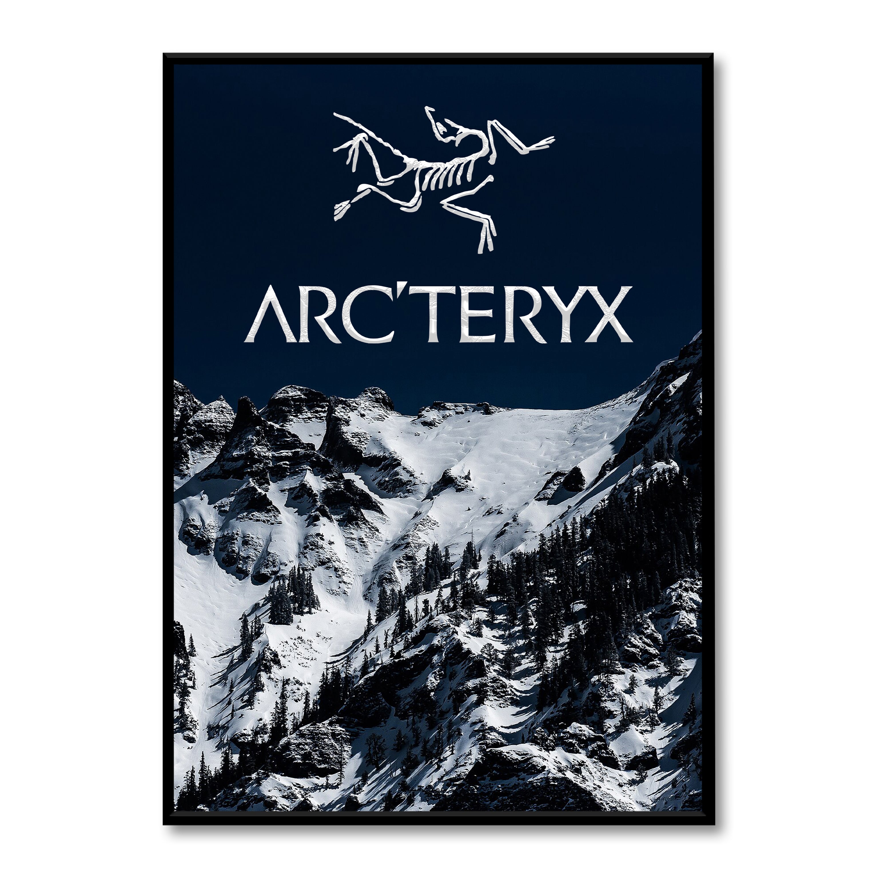 arc'teryx